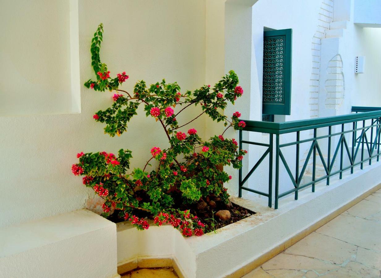 Jaz Neo Naama Bay Hotel Sharm el-Sheikh Ngoại thất bức ảnh